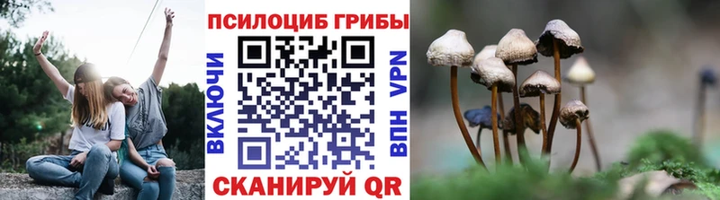 MEGA зеркало Бутурлиновка нарко площадка какой сайт закладка Псилоцибиновые грибы прущие грибы